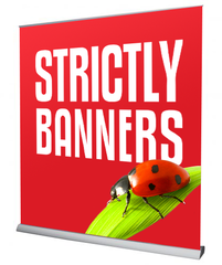 Wide Pull-up / Roller Banners | Economy & Premium