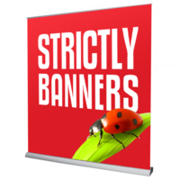 Wide Base Pullup / Roller Banner 2m