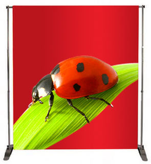 Pegasus Media Wall - PVC - 2m